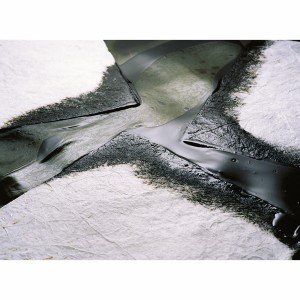 Oil Only Responder Pads WP-100-H