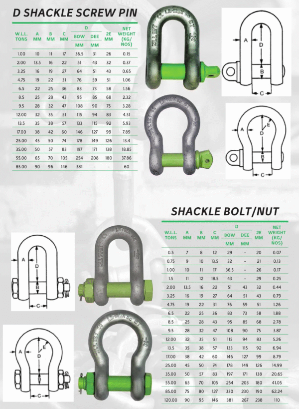 Bow Shackle Screw Pin Type - Image 2